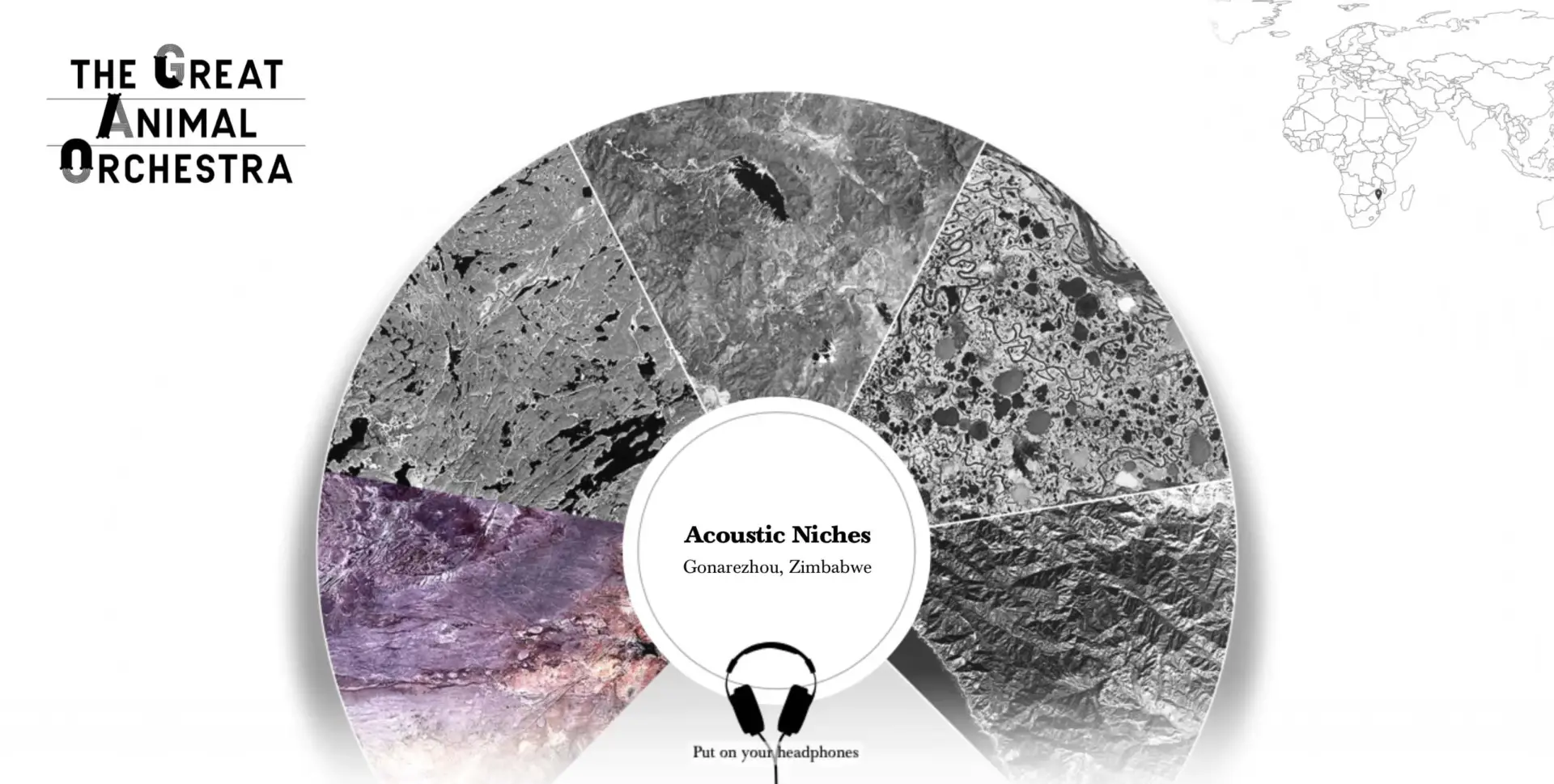 The Great Animal Orchestra или как стать дирижером «животного оркестра»?